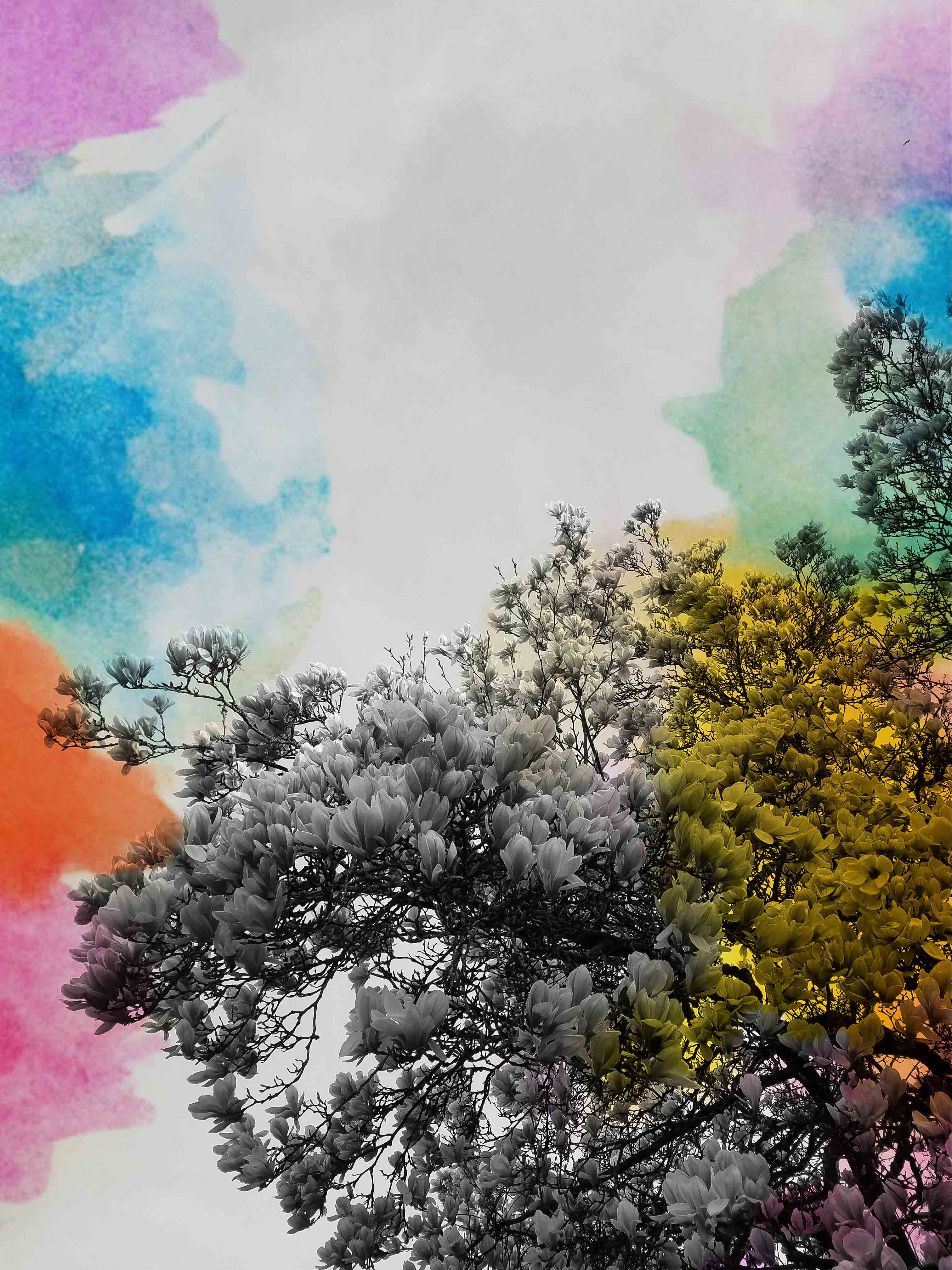 Thetahealing & Heilmeditation im Saarland